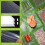 100 pcs Multi-size Vacuum Food Storage Bags 5