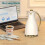 Insulated coffee thermos jug 3