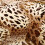 Couverture luxueuse à imprimé léopard 2