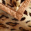 Couverture luxueuse à imprimé léopard 3