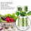 Herb Freshness Jar 2