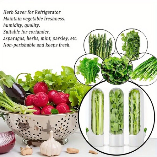 Herb Freshness Jar 1