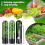Herb Freshness Jar 5