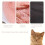 Zacht, afneembaar kattenbed 5