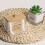Clear plastic cotton wool holder 3