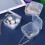 Clear plastic storage case 4