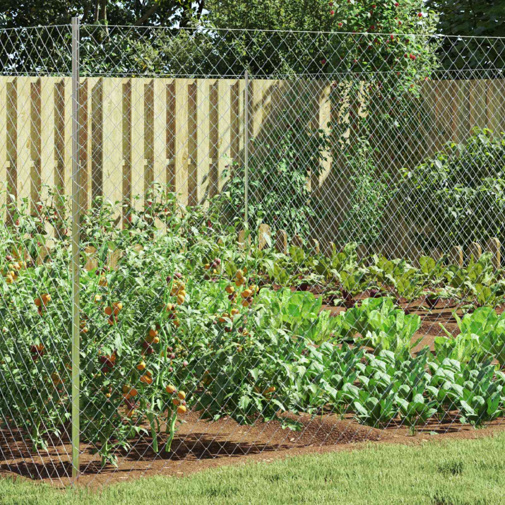 Vidaxl Chain Link Fence Galvanised 2 X 20 M Glass