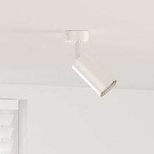 vidaXL Ceiling Spotlight with Spotlights Nickel 6 x 6 x 16 cm Metal