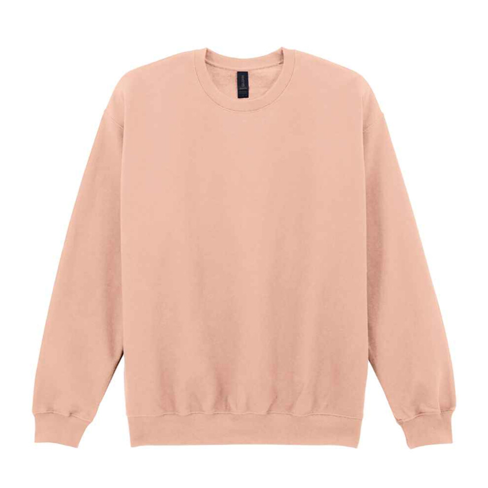 Gildan (3Xl, Dusty Rose) Unisex Adult Softstyle Midweight Sweatshirt Multicoloured