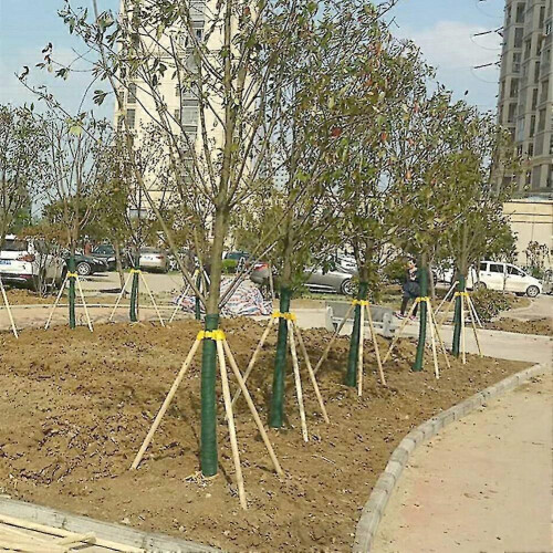 (Inner Diameter 5.3cm) Farfi Plant Frame Large Tree Growing Support Stakes Tripod Plastic Cups Garden Tool
