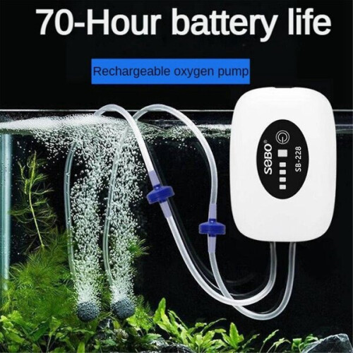 Pompe à oxygène rechargeable 1