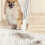 Electrostatic Dusting Replacement Broom For Floors And Ceilings 3