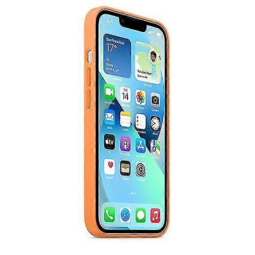 (Marigold) Étui en silicone compatible MagSafe pour iPhone 13 Mini 2