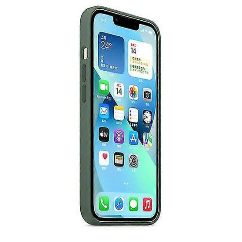 (Eucalyptus) Étui en silicone compatible MagSafe pour iPhone 13 Mini 2