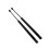 2x Tailgate Gas Springs Hyundai i10 6