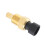 Replacement Coolant Temp Sensor for GM Models 10