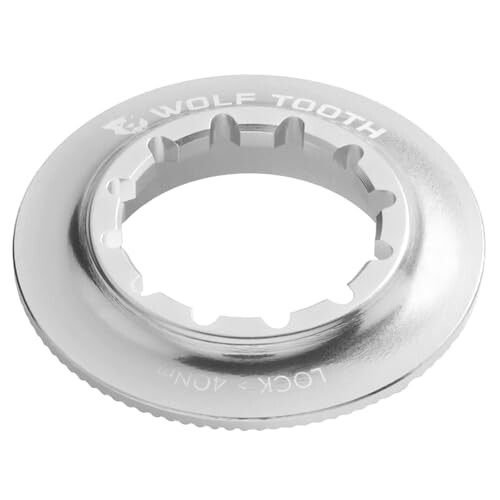 Centerlock Rotor Lock Ring - Raw Silver