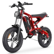 iENYRID Electric Bike for Adults,Fat Tire Hidoes B6 25KM/H Electric Bike Bicycles 15.6Ah Removable Battery E Bikes for Adults Electric Mountain Bike