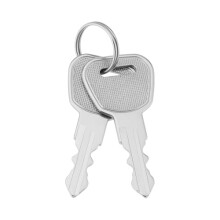 LT Easiyl 2pcs Mobility Ignition Keys 7325 8325 Compatible with SHOPRIDER Compatible with Sterling Scooter