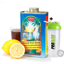 Madal Bal Natural Tree Syrup Lemon Detox 1000ml + Shaker