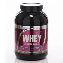 Boditronics Diet Whey Protein Powder with High Protein Blend and High doses of CLA, Vitamins C & E for Lean whey Protein Shake Powder (Chocolate Mint,