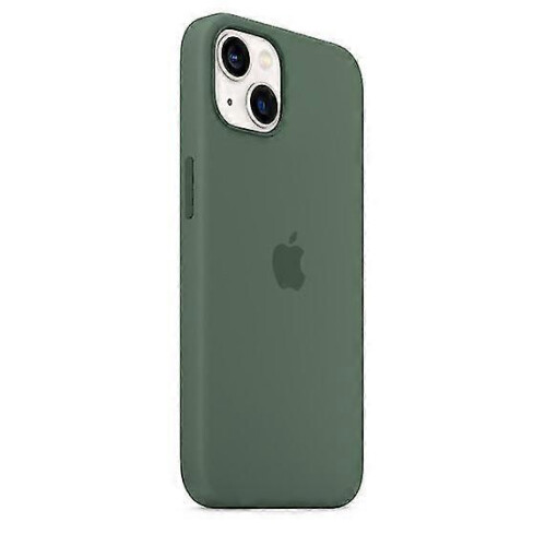 (Eucalyptus) Étui en silicone compatible MagSafe pour iPhone 13 Mini 1