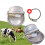 Bebedouro Automático de Aço Inoxidável para Cães, Cavalos e Galinhas 2