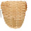 Trixie Trixie Bamboo Exotic Nest, 12 x 15 cm 2