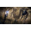 Elden Ring Nightreign (Xbox Series X / Xbox One) 6