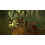 Jumanji Wild Adventures (Xbox One/ Series X) 3