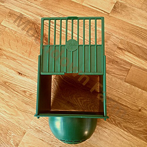 Moondown Farm Plastic Canary Nest Pans Pan Green 5 PACK 1