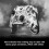 Xbox Xbox Wireless Controller – Storm Breaker Special Edition Series X|S, One, PCs, and Cloud-Enabled Devices 1