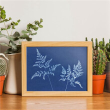 60 Sheets Sun Print Paper Cyanotype Paper Kit, A6 Sun Art Paper with 1 Plastic Tool for Sun Printing, Solar Paper