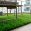 Prato sintetico - SPRINGOS - 2x3 m - 32 mm - 21 100 ciuffi/m² - 70% PE/30% PP 4