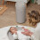 Shnuggle Shnuggle EcoTouch Nappy Bin Diaper Pail  EcoFriendly Nappy Disposal Sy 2