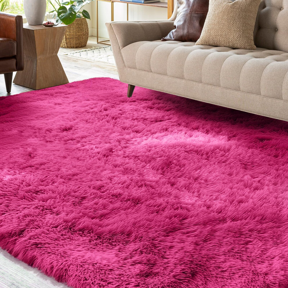 Area Rugs For Living Room, Ultra Soft Bedroom Floor Carpet, Luxury Fluffy Shag Lounge Rug Ideal For Bedroom, Nursery, Kids Baby Room, 80X160cm Xsivod