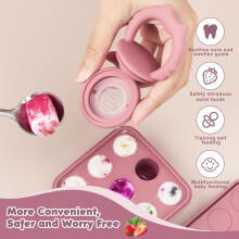Baby Fruit Feeder Ice Lolly Moulds Set Fruit Feeder for Babies Teethin