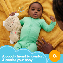Fisher-Price Baby Sound Machine Soothe & Settle Bunny Portable Plush Toy with Music, Lights & Motion for Newborns, HXG97