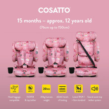 Cosatto On The Go Foldable Portable Travel Car Seat Booster Car Seat