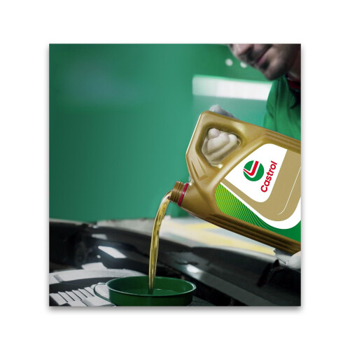 Castrol Castrol Garden 4T 10W-30, 1L 2