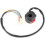 Motorcycle Left Hand Switch High Beam Start Kill 8