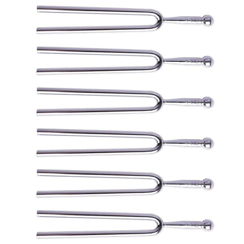 6X Tuning Fork with Soft Shell Case, Standard A 440 Hz