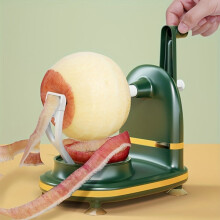 Automatic fruit peeler and slicer