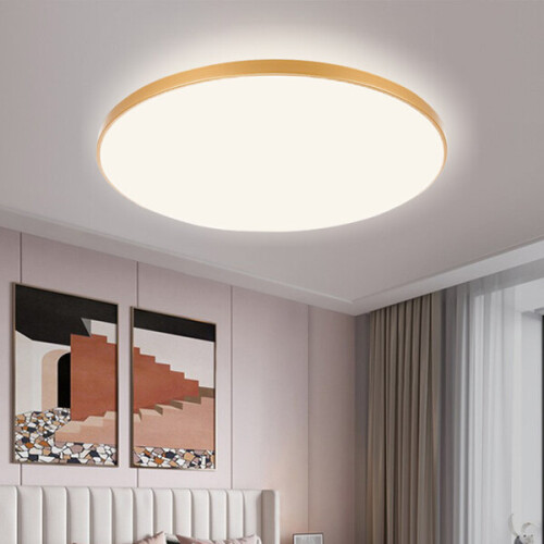 Verstelbare LED-plafondlamp 2