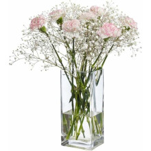 Vasen, hohe quadratische Vase, dekorative Glasvase für Zuhause, Blumenvase Ve