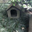 Niche extérieure imperméable pour chiens et chats Hetang Yuese 5