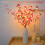 LED-oksakoriste perhosilla 2