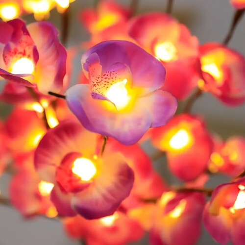 LED-oksakoriste perhosilla 2