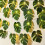Guirlande de feuilles de Monstera à LED 4