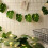 Guirlande de feuilles de Monstera à LED 3
